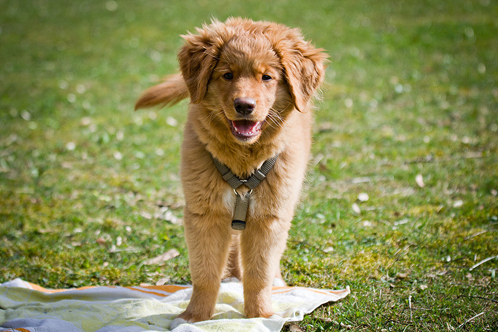 Benthe steht auf einem Handtuch und grinst frech in die Kamera