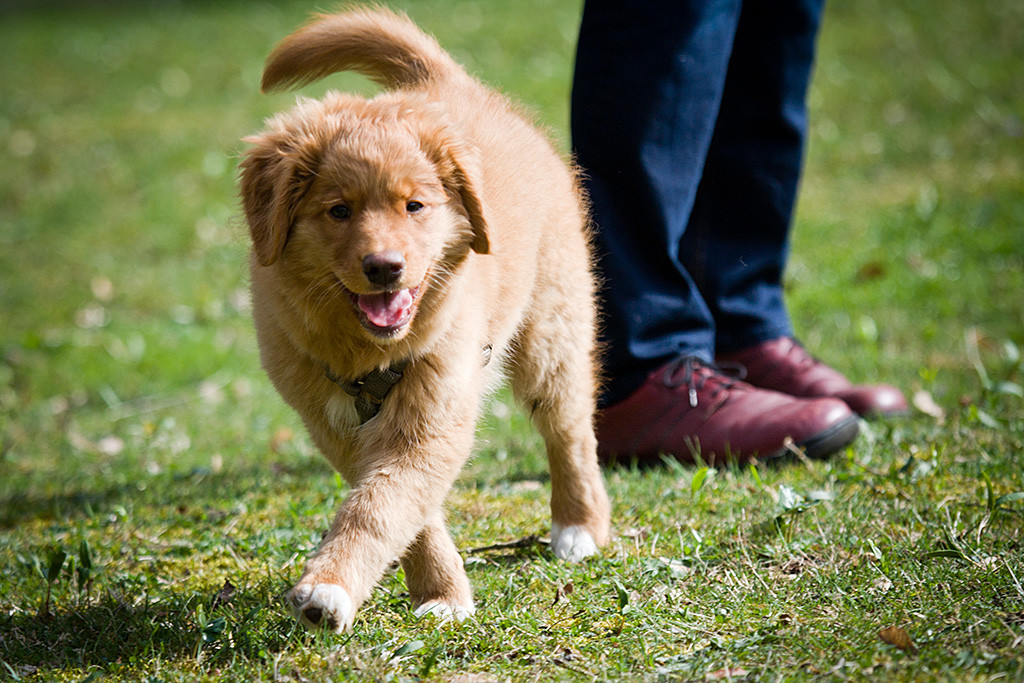 Benthe läuft frech grinsend los, im Hintergrund sind Sigrids Beine zu sehen