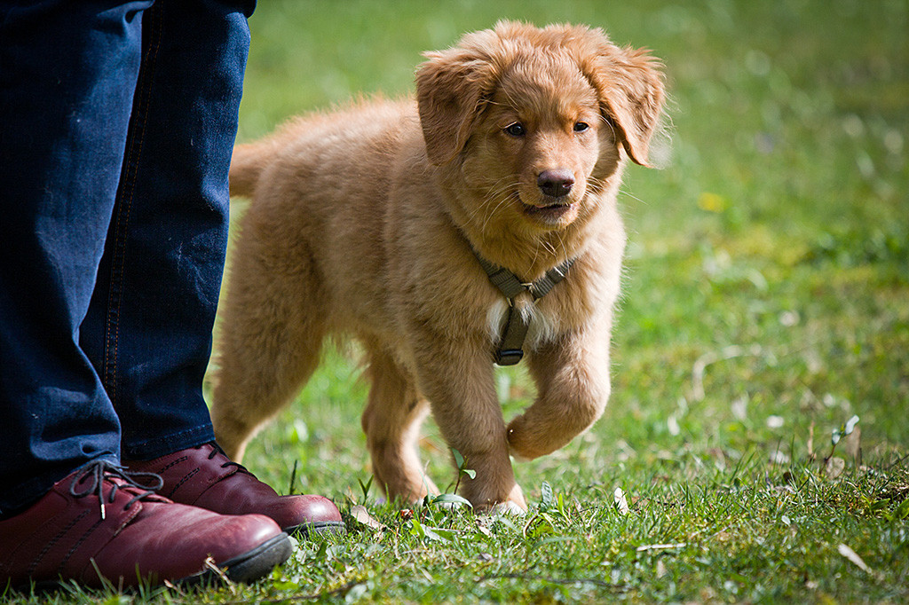 Benthe steht neben Sigrid und ist gerade dabei loszulaufen