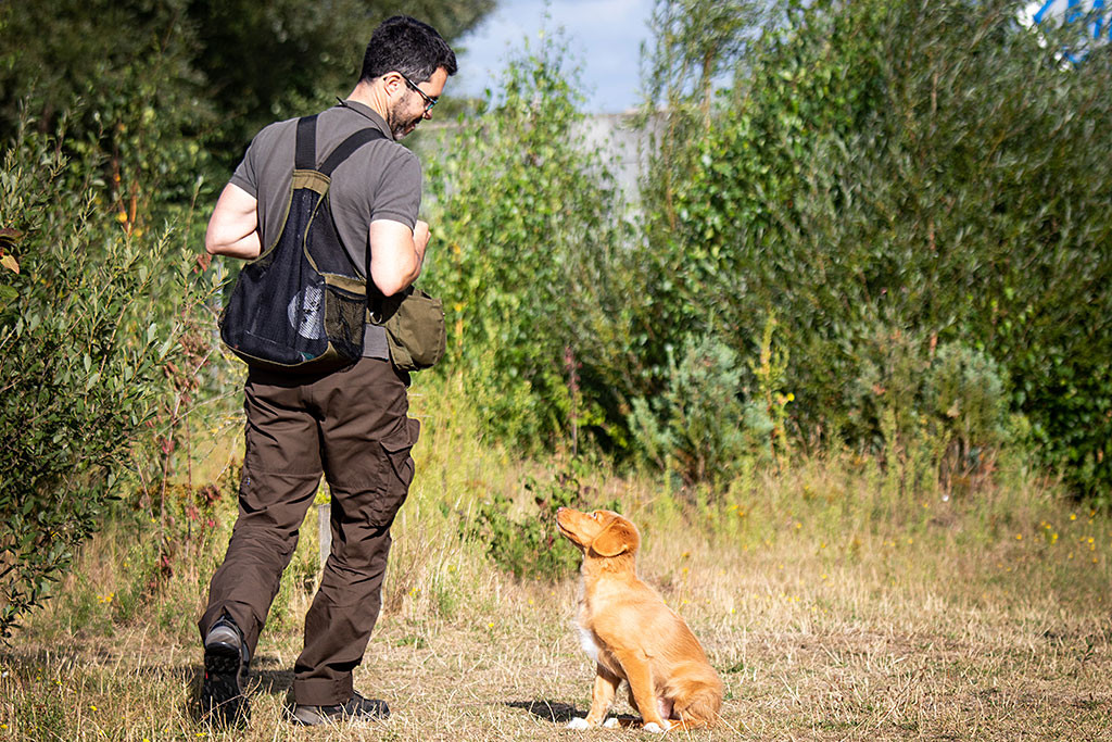 Newton sitzt im Gras während Stephan um ihn herumläuft, beide schauen sich dabei an