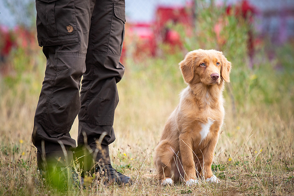 Newton sitzt neben Stephan und schaut fokussiert nach vorn