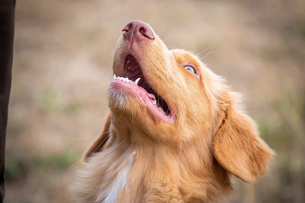 Newton schaut glücklich lächelnd nach oben zu Stephan