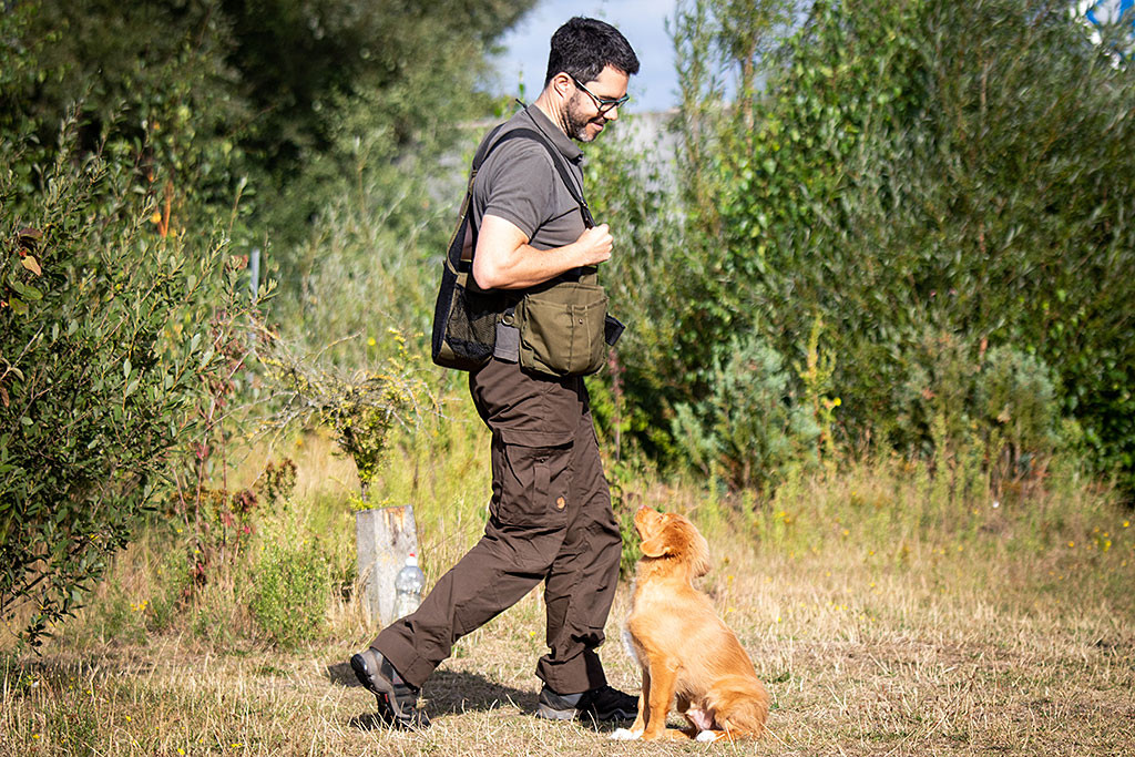 Newton sitzt im Gras während Stephan um ihn herumläuft, beide schauen sich dabei an