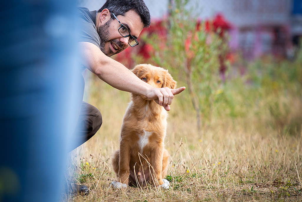 Newton sitzt im Gras und folgt Stephans Finger, der ihm den Weg zum Dummy in der Suche weist
