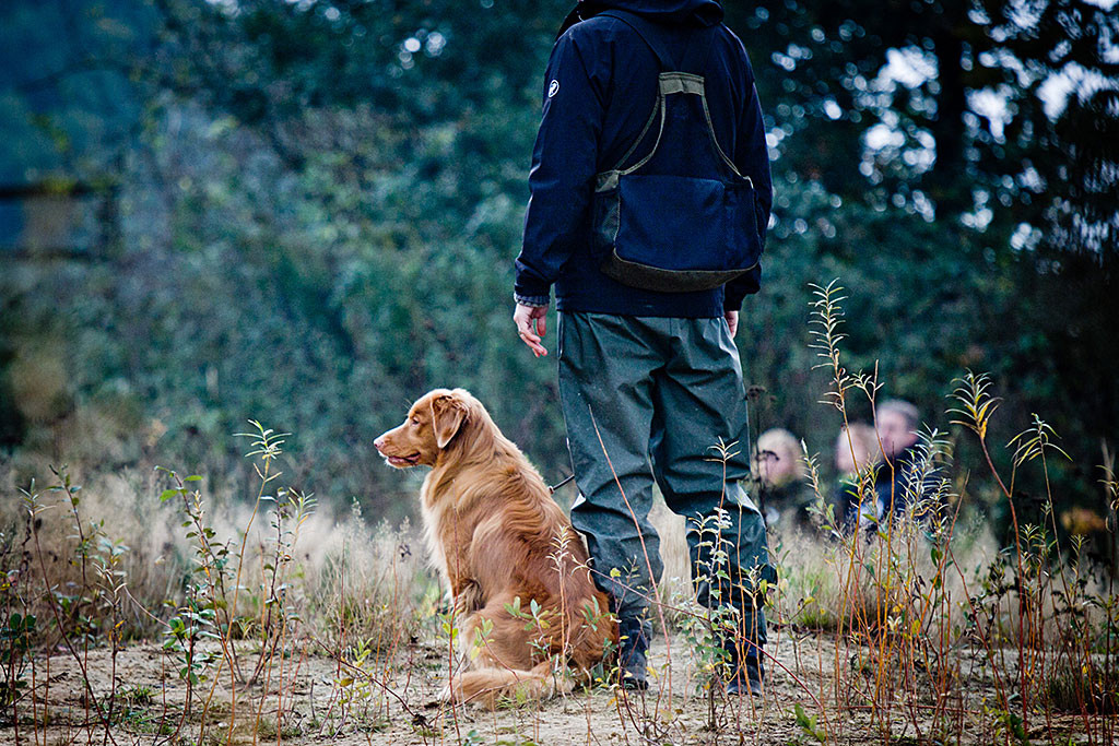 Edison sitzt angeleint neben Stephan und schaut nach links, im Hintergrund stehen Leute, die ein Treiben simulieren werden