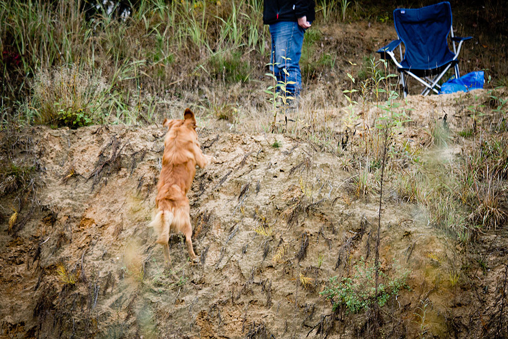 Edison klettert förmlich die letzten Meter den steilen Hang hoch, wo oben der Schütze und sein Stuhl steht