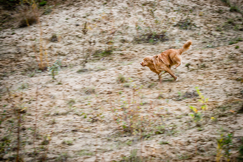 Edison wurde geschickt und flitzt Richtung Dummy