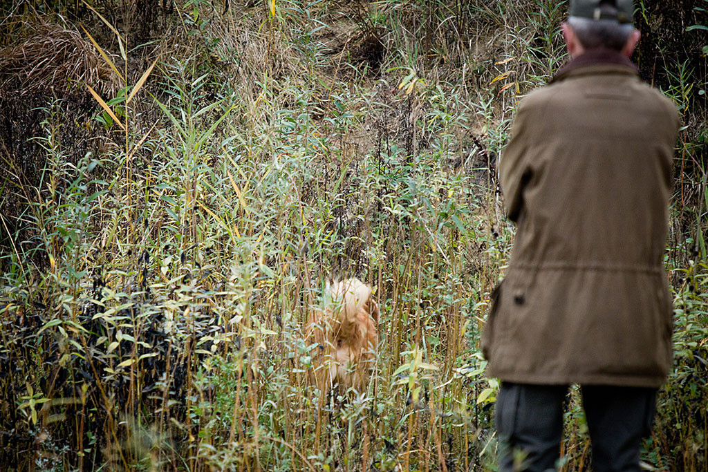Edison verschwindet suchend im hohen Gras, im Vordergrund steht der Richter und beobachtet