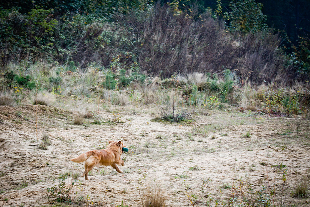 Edison ist mit dem Dummy im Fang auf den letzten 10m zurück zu Stephan