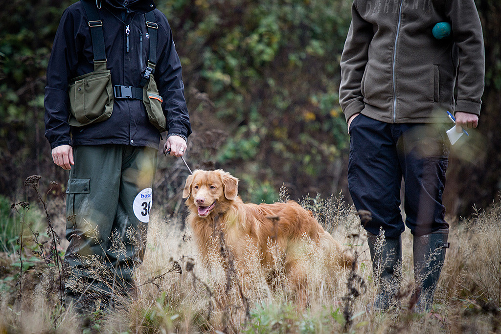 Edison steht zwischen dem Richter und Stephan, die sich unterhalten, und schaut fröhlich geradeaus