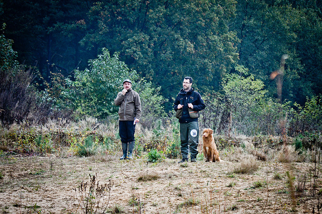 Edison sitzt neben Stephan, die beide in Richtung fliegendem Dummy schauen, neben ihnen steht der Richter
