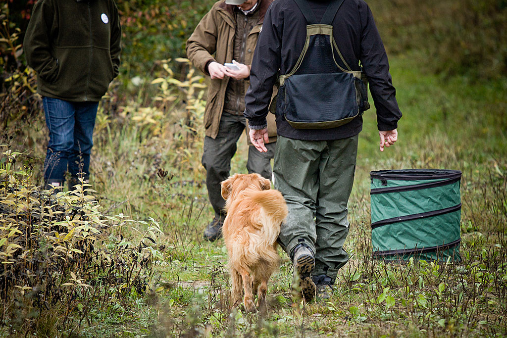 Edison läuft frei bei Fuß an Stephans Seite auf Richter und Helfer zu