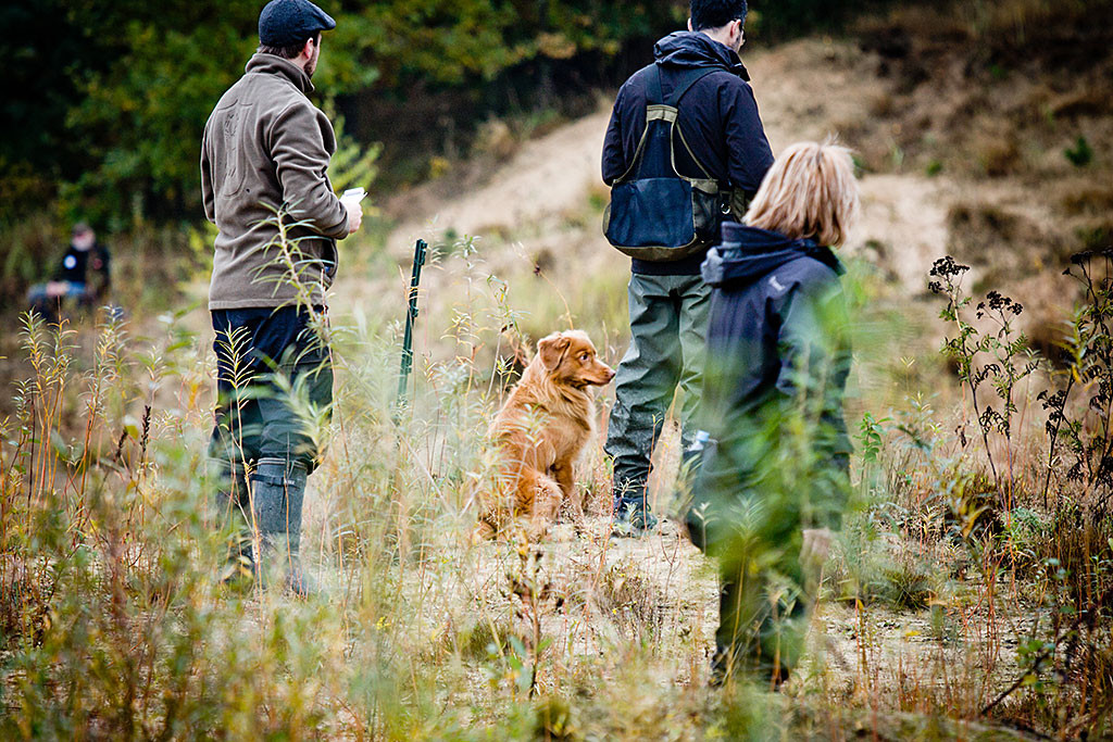 Edison sitzt unangeleint neben Stephan und schaut aufmerksam nach rechts, hinter ihm steht der Richter, im Vordergrund sieht man eine Helferin, die gerade den Verleitdummy geworfen hat