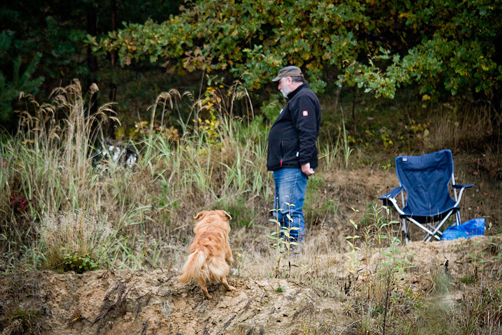 Edison ist oben angekommen, der Schütze schaut nach links ins hohe Gras, wo der Dummy liegt