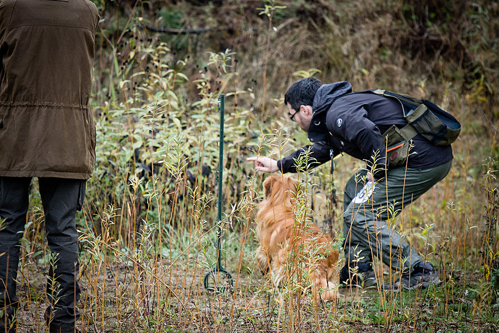 Edison sitzt neben Stephan, der gerade das Signal zur kleinen Suche gibt, im Vordergrund steht der Richter und beobachtet