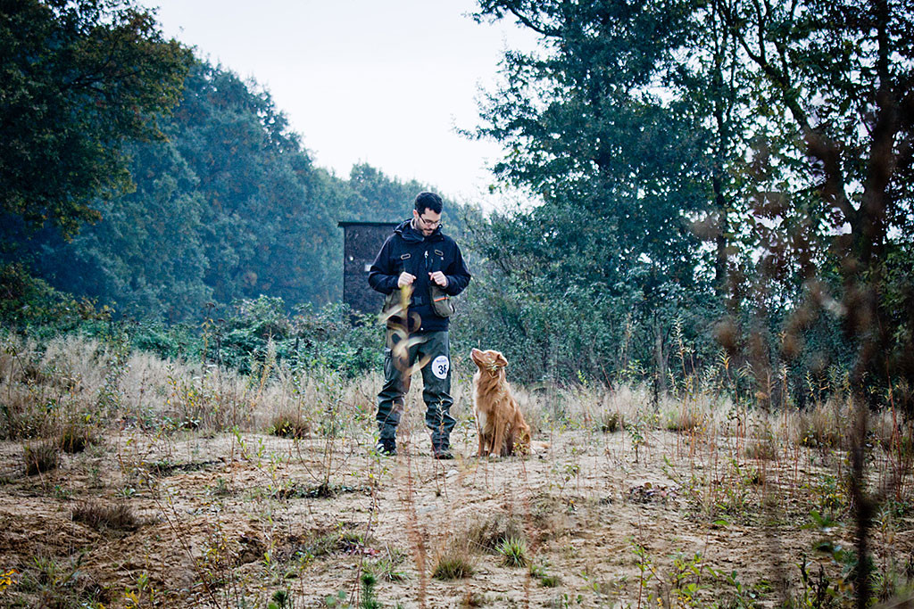 Edison sitzt unangeleint an Stephans Seite, beide schauen sich gegenseitig an