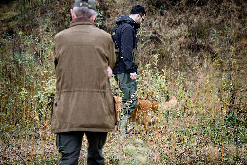 Edison parkt an Stephans Seite ein, im Vordergrund beobachtet ihn der Richter