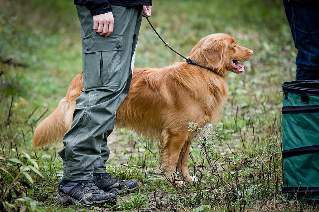 Edison steht angeleint neben Stephan und schaut sehr zufrieden