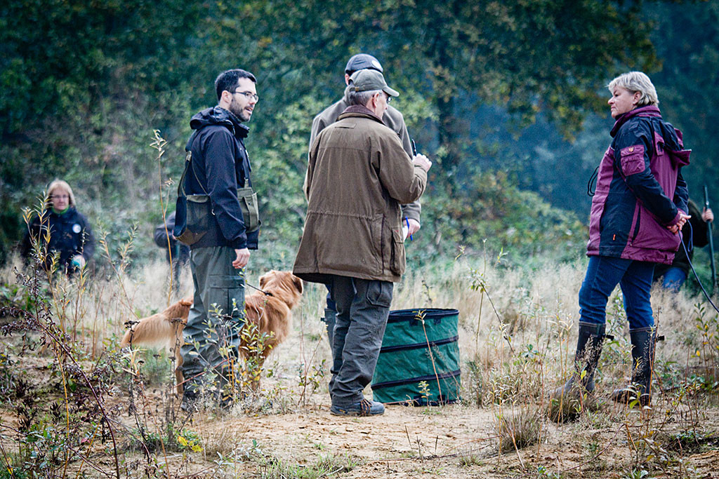 Edison steht angeleint in Mitten der Richter und dem anderen Gespann, die sich alle miteinander unterhalten