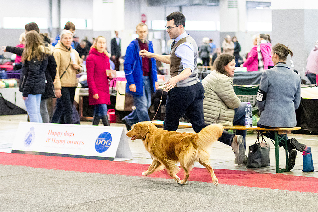 Edison läuft an Stephans Seite durch den Ring