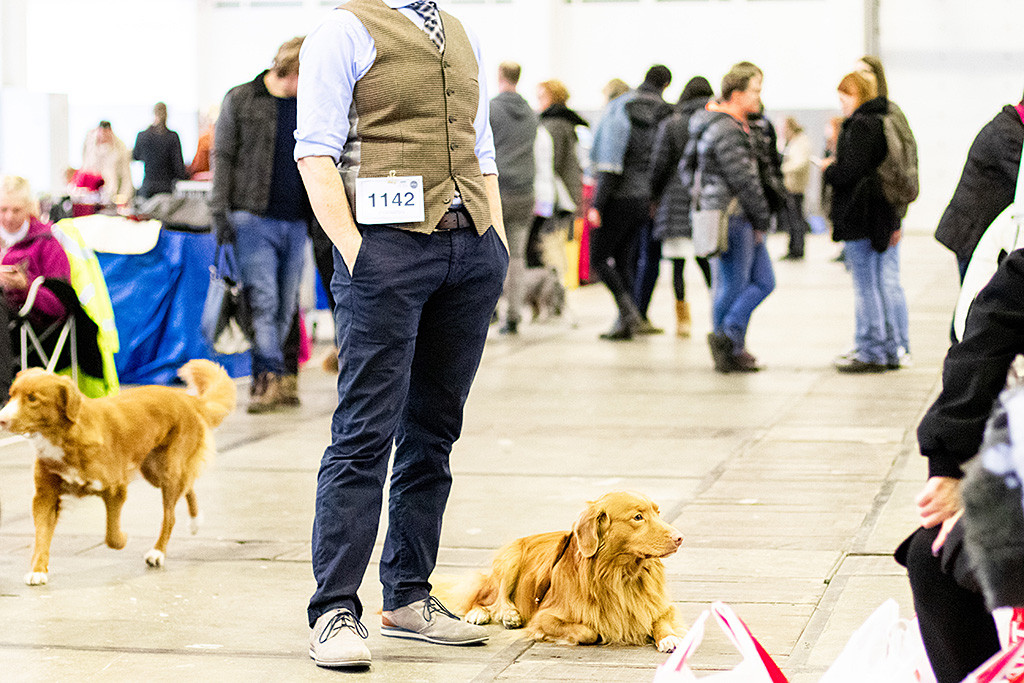 Edison liegt neben Stephan außerhalb des Rings und schaut dem Treiben im Ring zu