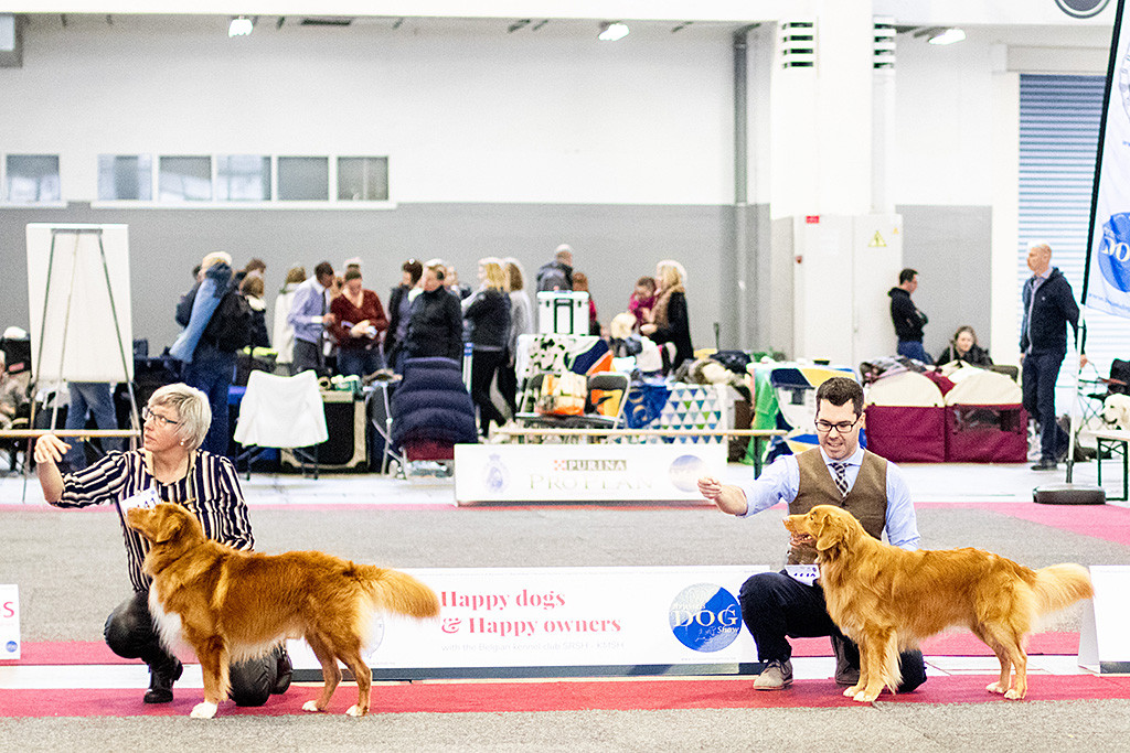 Edison steht neben »Alliance De La Vie Calm Steadiness« in der Championklasse