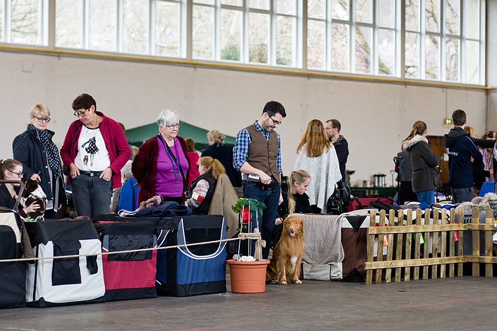 Edison sitzt neben Stephan und wartet am Ringeingang auf ihren Auftritt