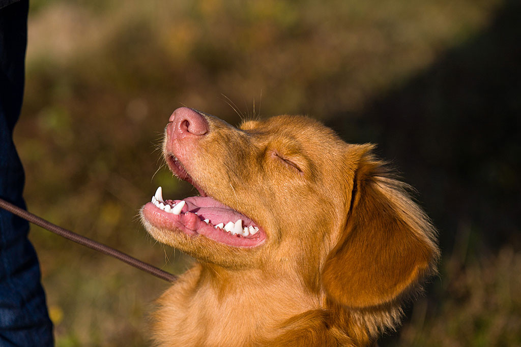 Edison lächelt mit geschlossenen Augen