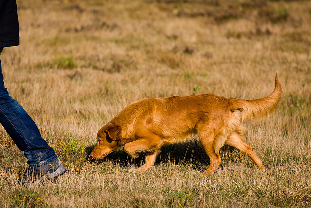 Edison folgt Stephan auf den Fersen