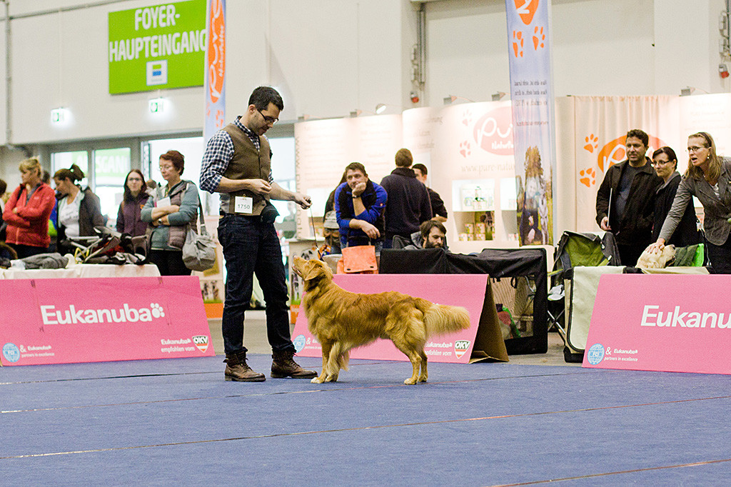 Edison steht wie eine Eins vor Stephan