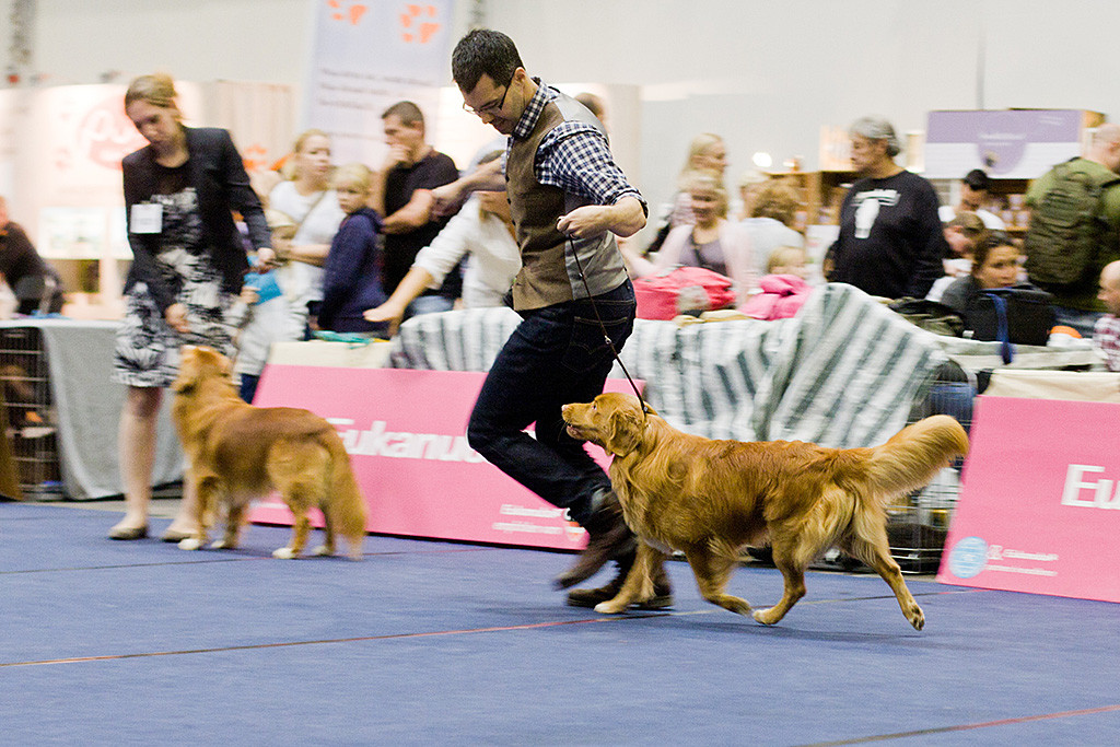 Edison bei der Gangwerkprobe im Kreis
