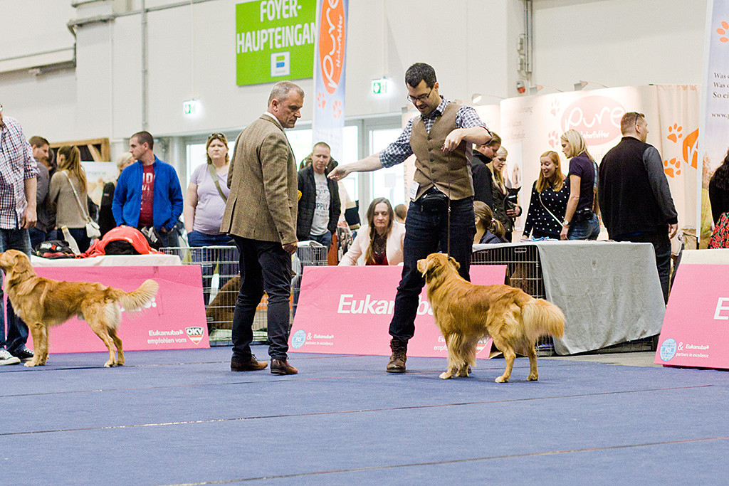 Edison wird noch einmal eingehend von Richter Frank Whyte begutachtet