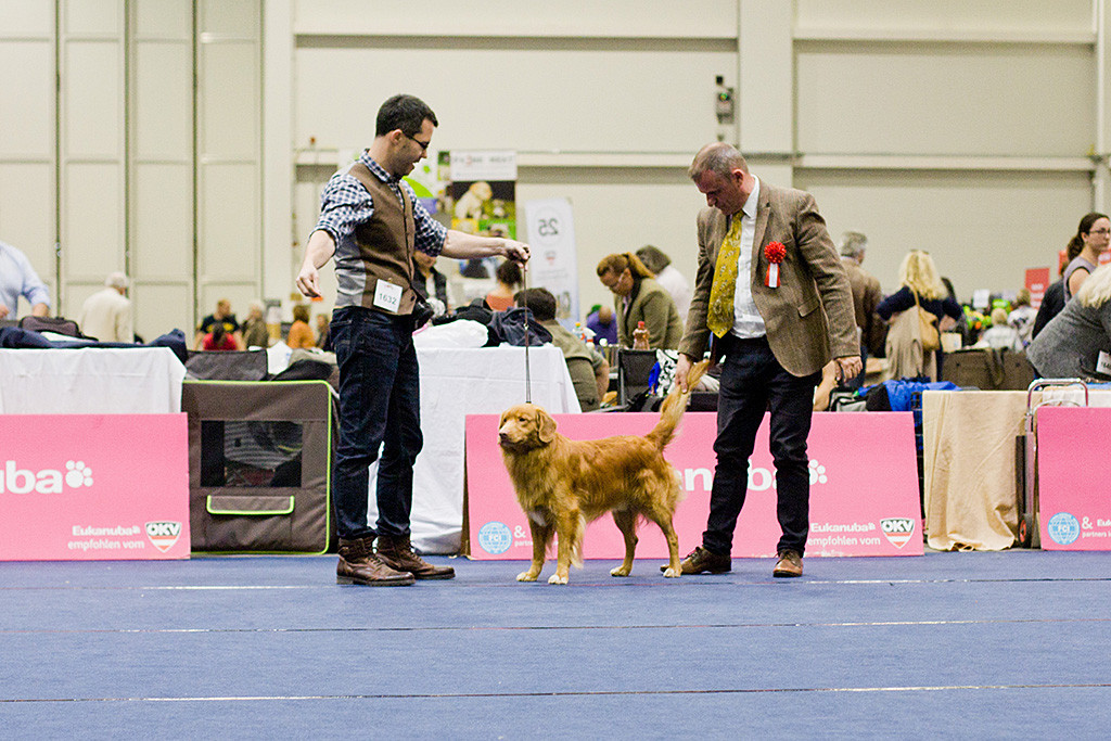 Edisons Rute wird vom Richter Frank Whyte geprüft
