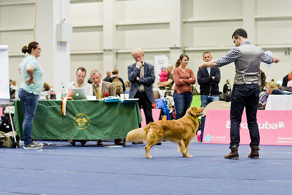 Edison steht vorm Richtertisch während der Richter seinen Bericht diktiert