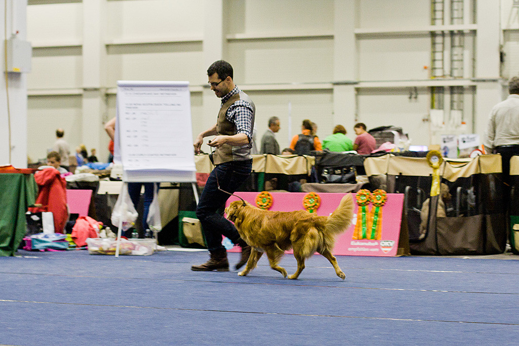 Edison und Stephan beim Anhalten kurz vorm Richtertisch
