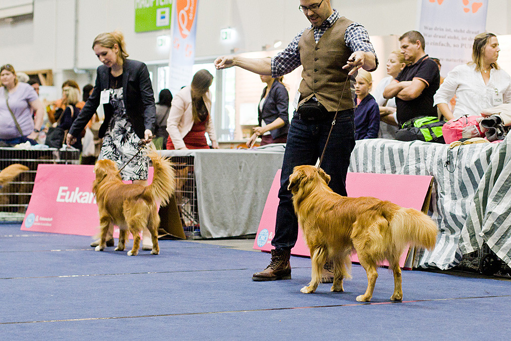 Edison steht mit Stephan hinter Christina und »Arduinas Flashing Kenai«