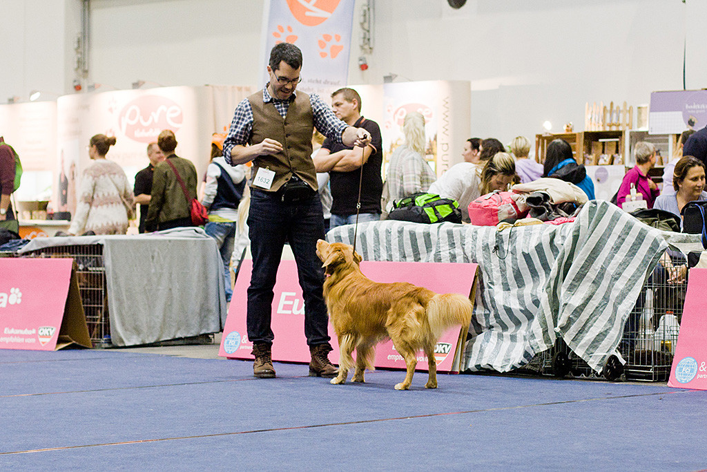 Edison steht mit voller Körperspannung vor Stephan im Ring
