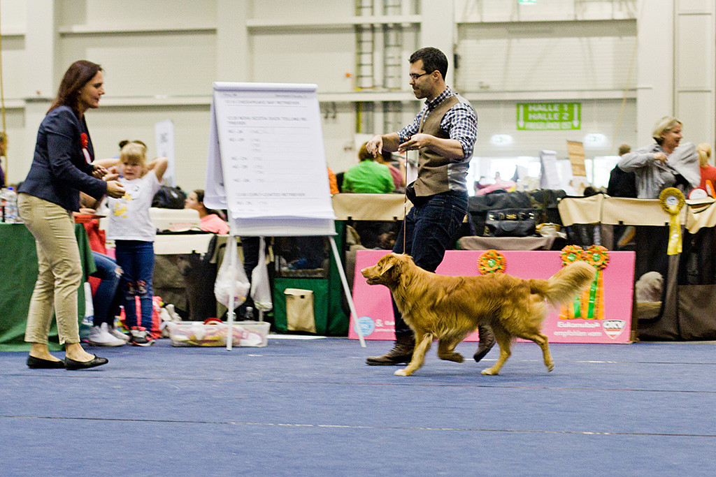 Edison läuft geführt von Stephan geschwind und freudig auf die Richterin zu
