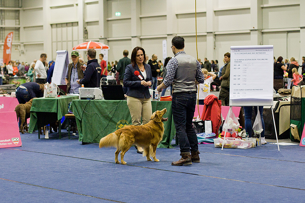 Edison steht zwischen Stephan und der Richterin, die ein paar Worte über ihn verliert