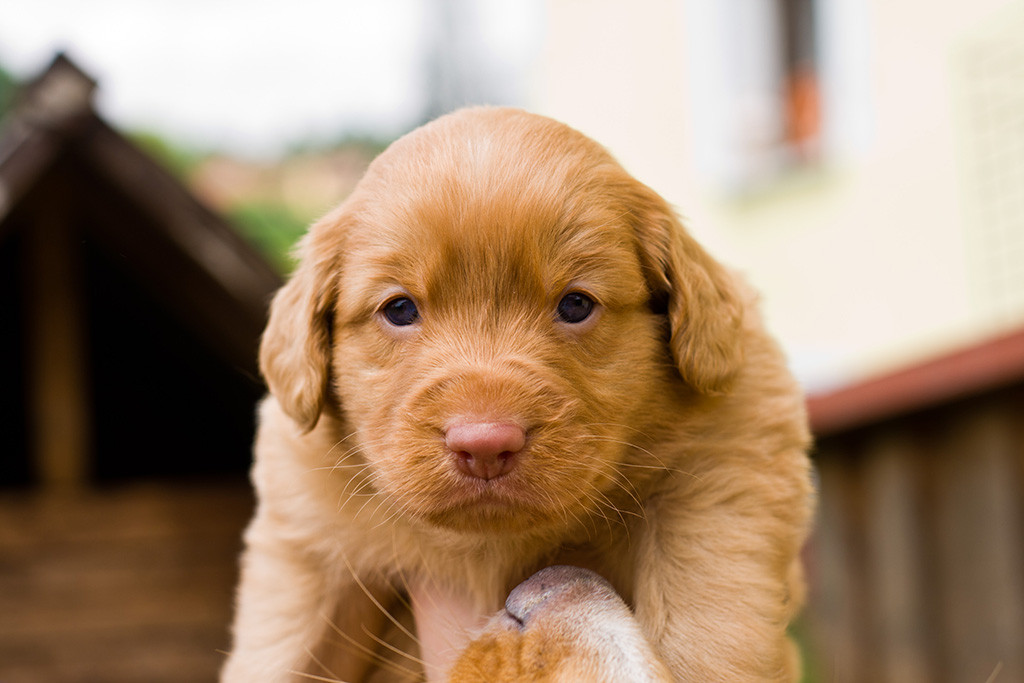 Edison und die Nase der Mutter