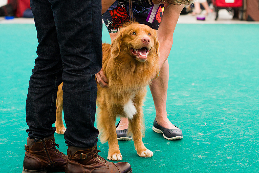 Edison wird von der Richterin abgetastet und grinst dabei
