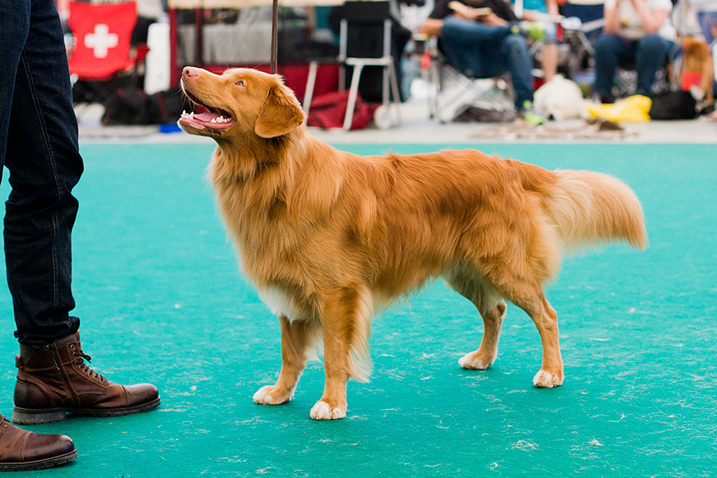Edison steht wie eine eins und blickt dabei zu Stephan hoch