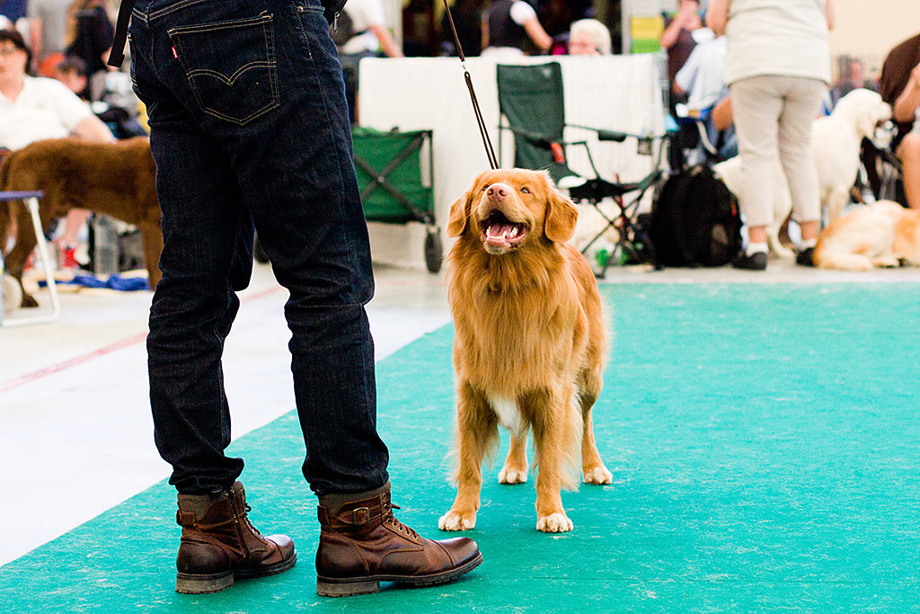 Edison schaut zu Stephan hoch und lächelt ihn an