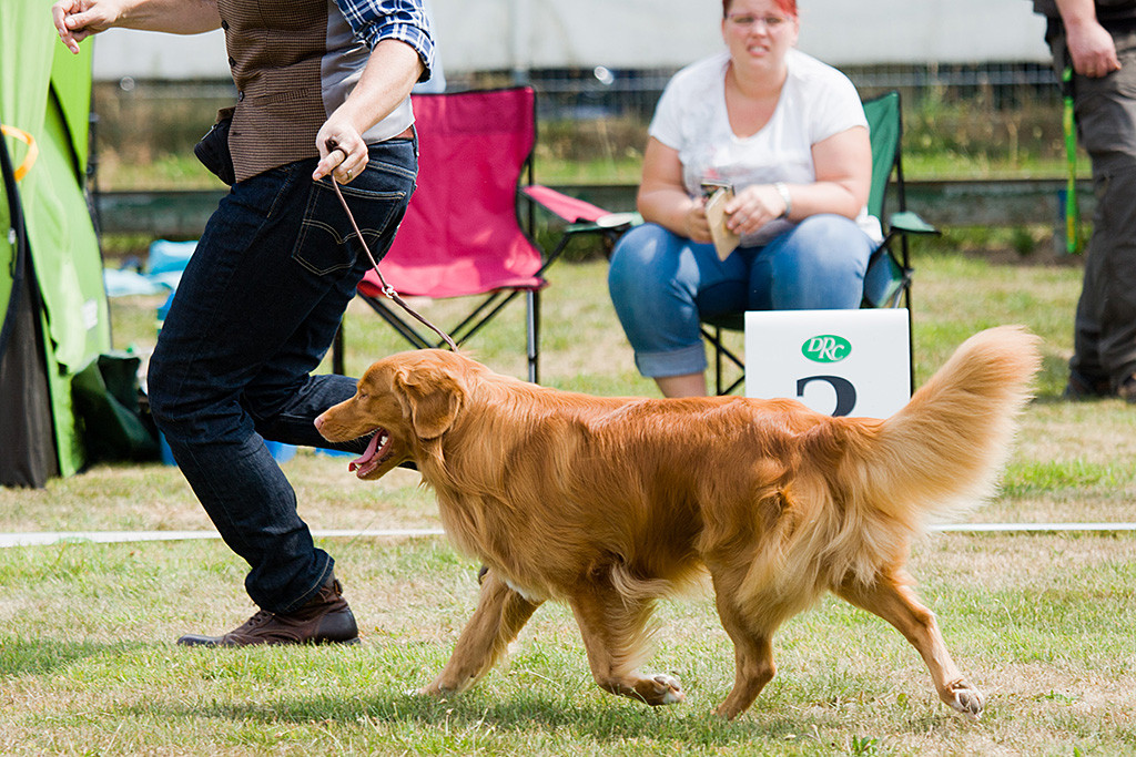 Edison läuft schwungvoll an Stephans Seite durch den Ring