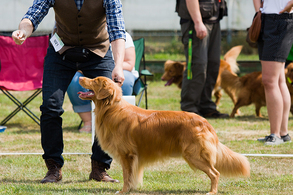 Edison steht in Pose und lächelt dabei während Stephan hinter ihm steht