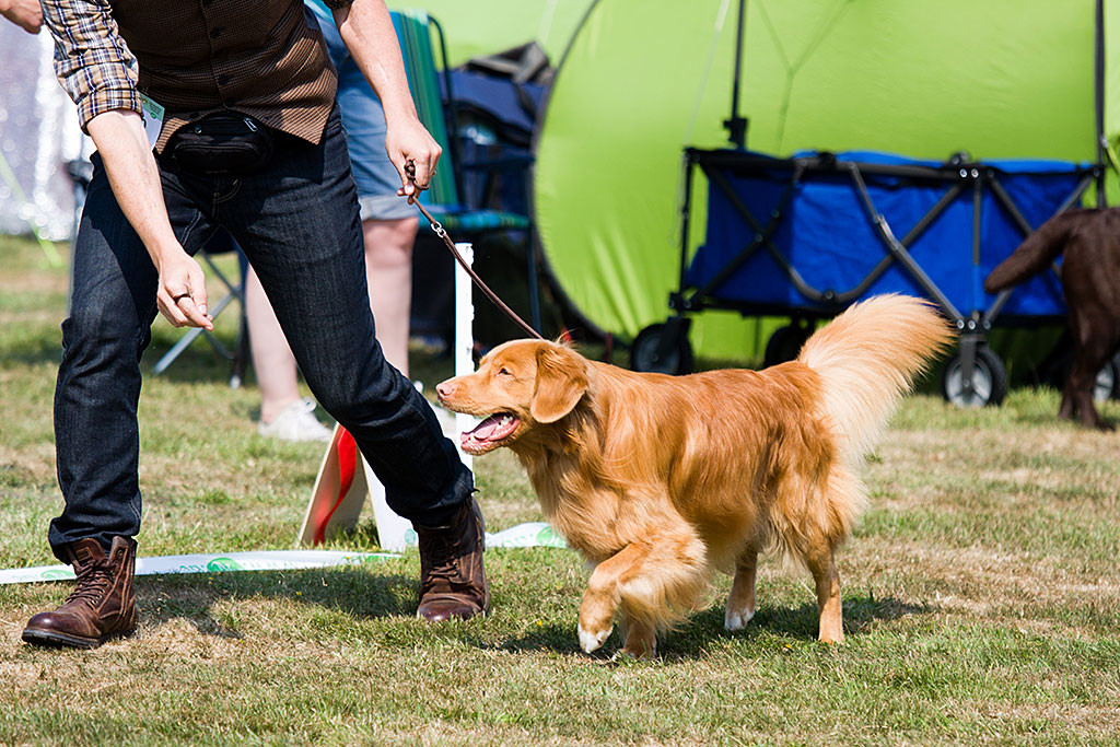 Edison wird von Stephan animiert schneller im Ring zu laufen