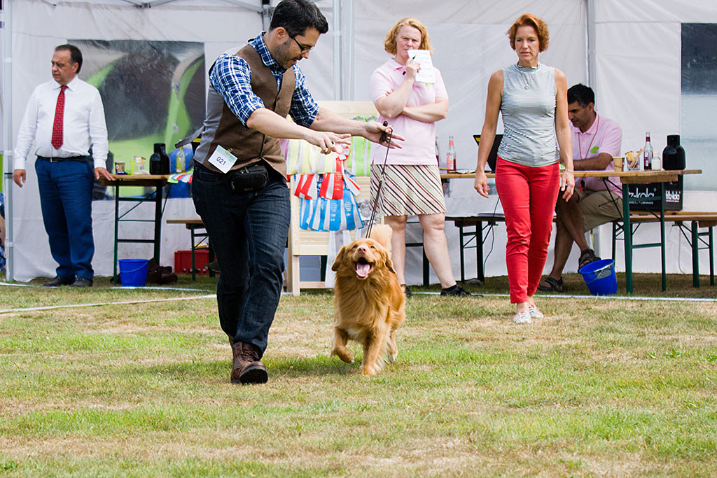 Edison läuft an Stephans Seite auf der Geraden während die Richterin ihn von hinten beobachtet
