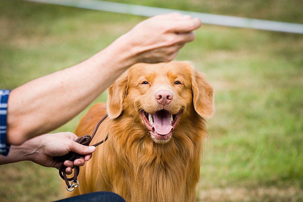 Edison lächelt frontal in die Kamera während Stephan neben ihm hockt und die Leine hält