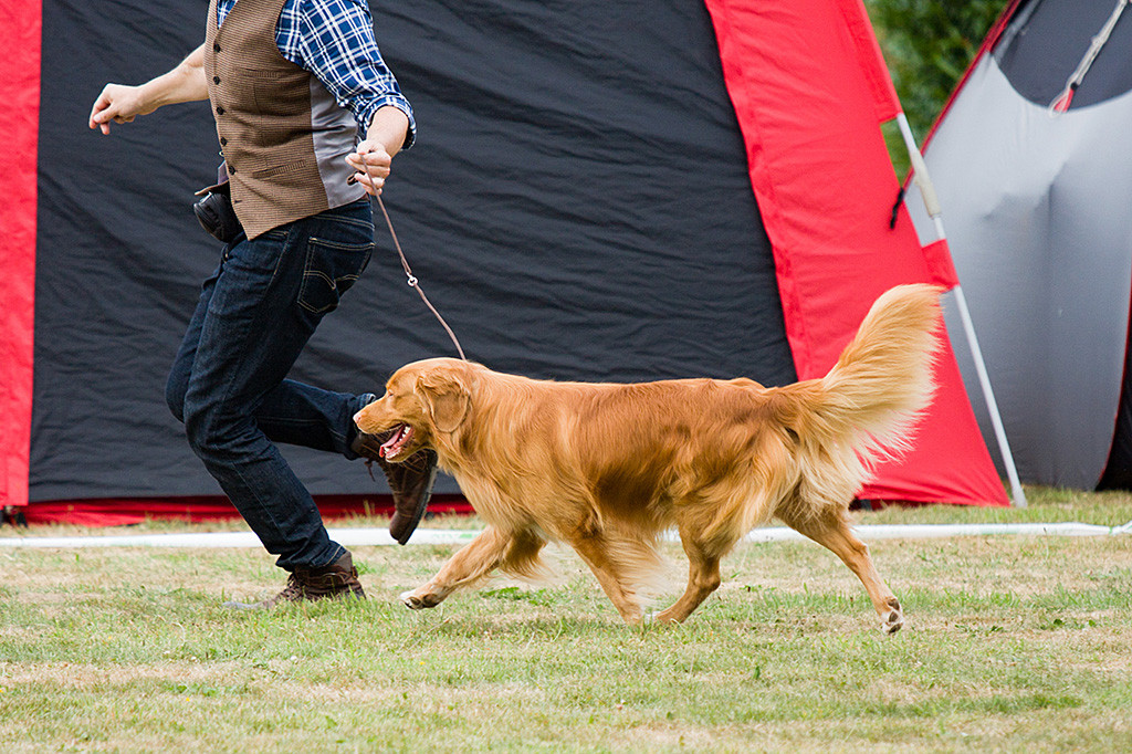 Edison fliegt an Stephans Seite förmlich durch den Ehrenring
