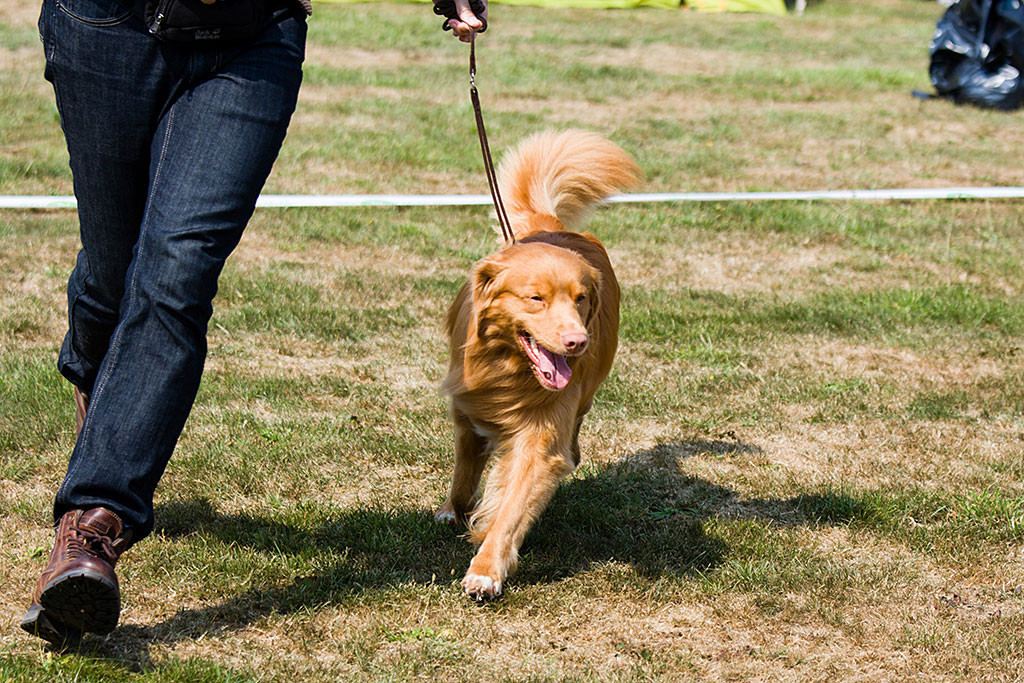 Edison läuft in selber Schrittfolge wie Stephan durch den Ring